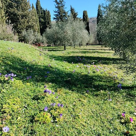 Agriturismo Natura E Salute San Gimignano Extérieur photo