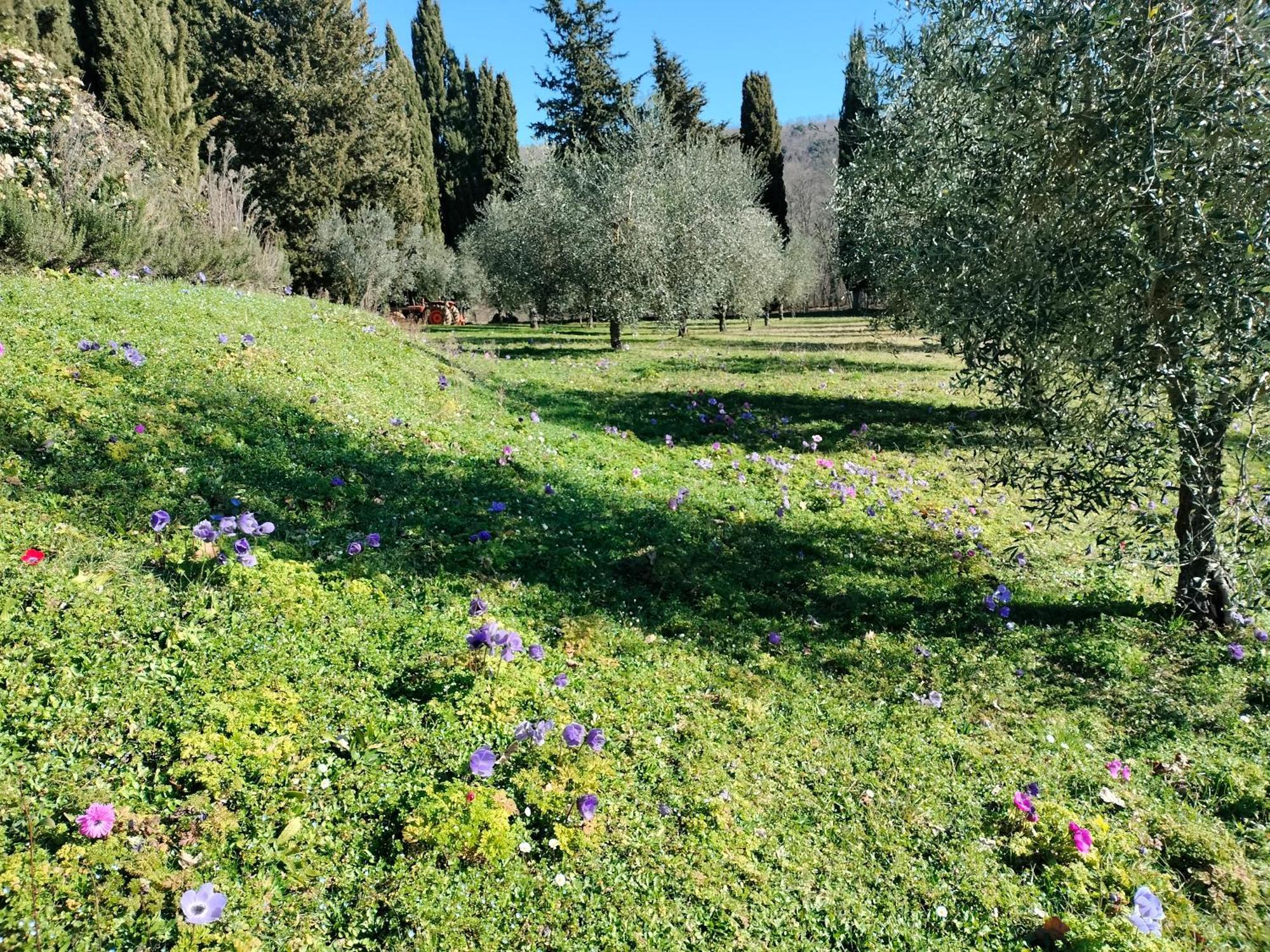 Agriturismo Natura E Salute San Gimignano Extérieur photo