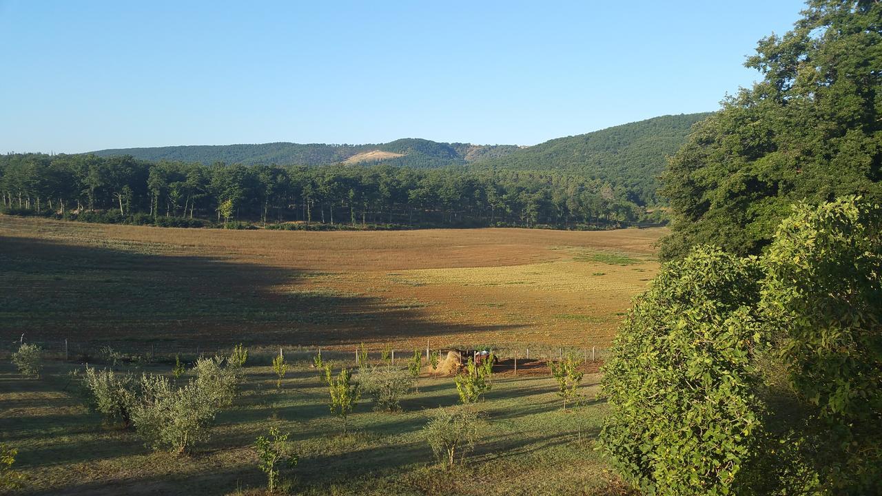 Agriturismo Natura E Salute San Gimignano Extérieur photo